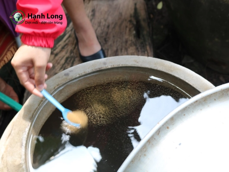 cách diệt lăng quăng trong chậu cây cảnh