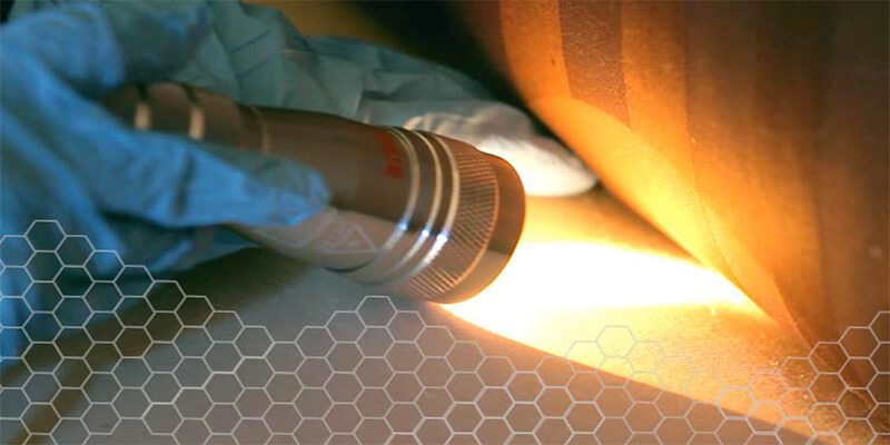 Dịch vụ diệt rệp tận gốc tại HCM và Hà Nội uy tín