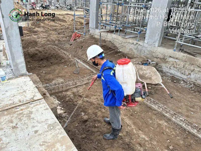 diệt mối quận 3 diệt mối quận 3