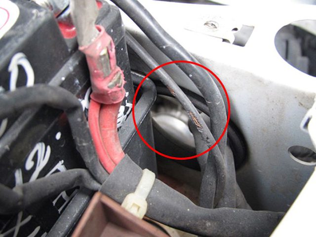 Cách chống chuột ô tô 2