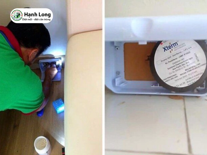 diệt mối cho biệt thự