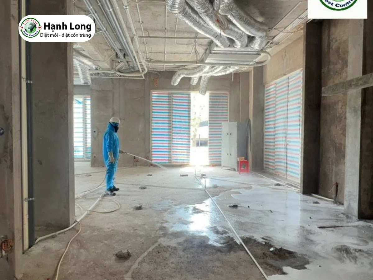 dịch vụ phòng mối