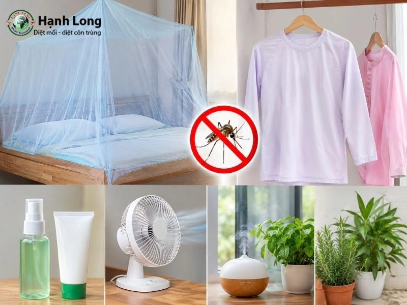 diệt muỗi vằn