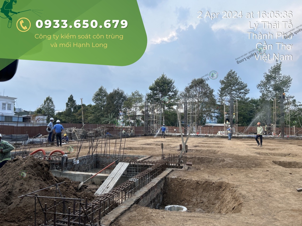 Thi công phòng chống mối công trình tại Cần Thơ