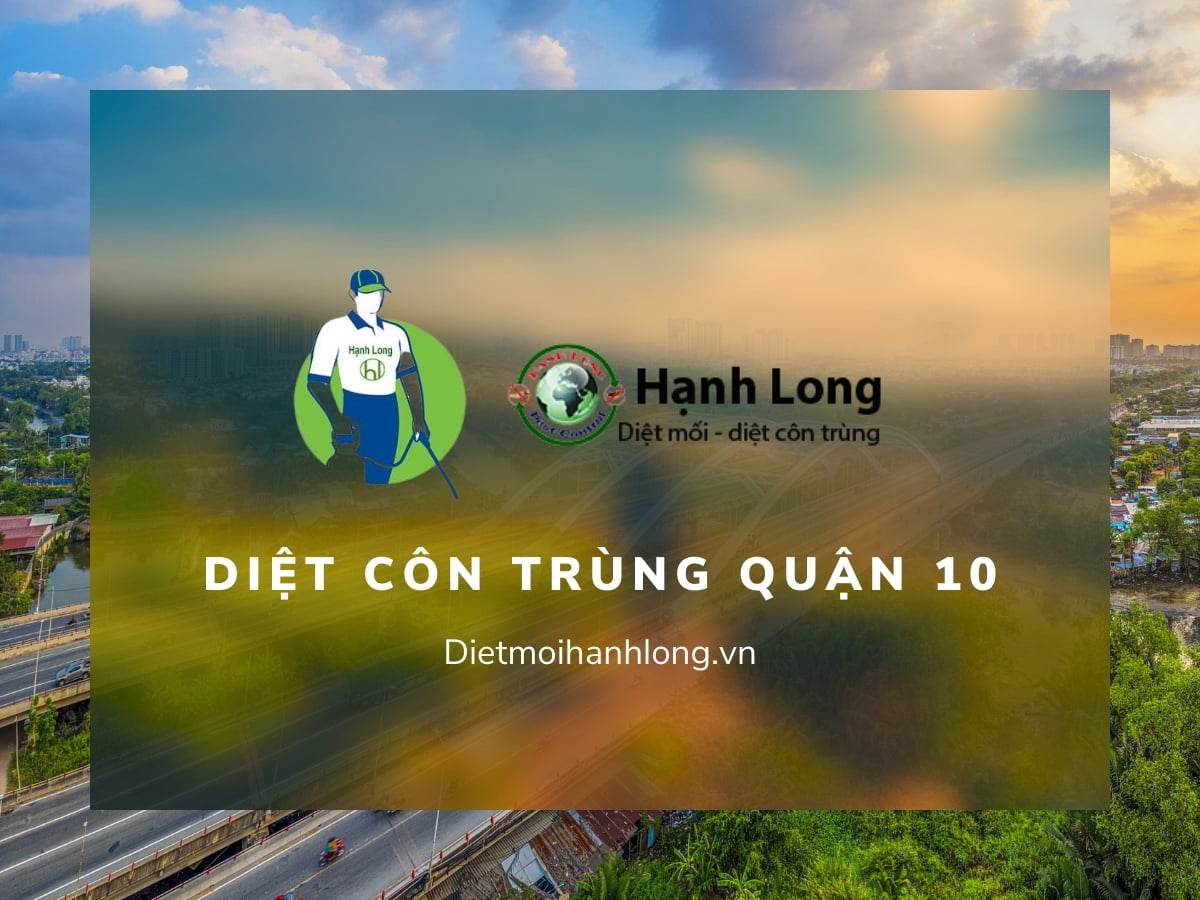 Diệt Côn Trùng Quận 10 Giá Tốt, Chuyên Nghiệp
