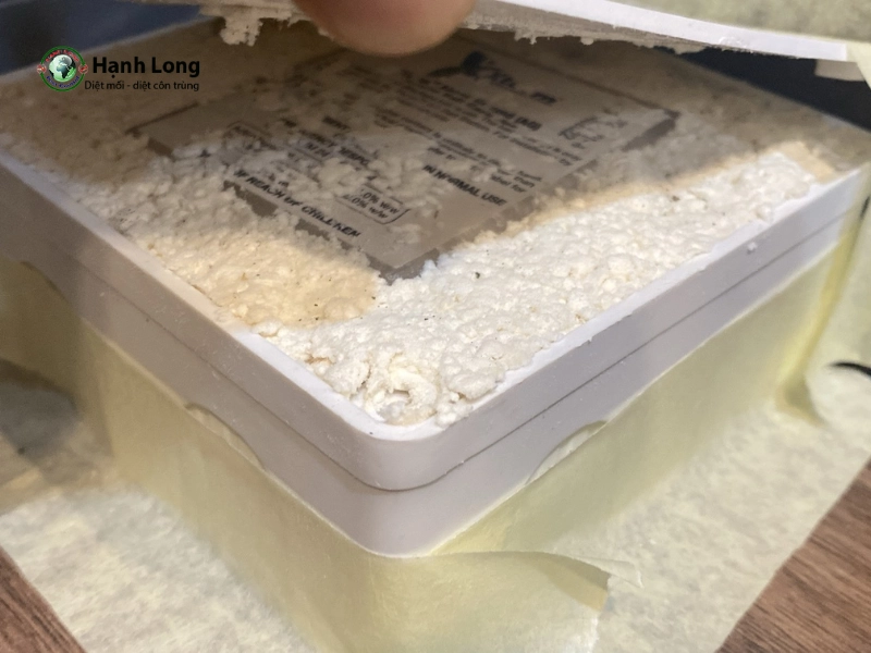 diệt mối cửa gỗ diệt mối cửa gỗ