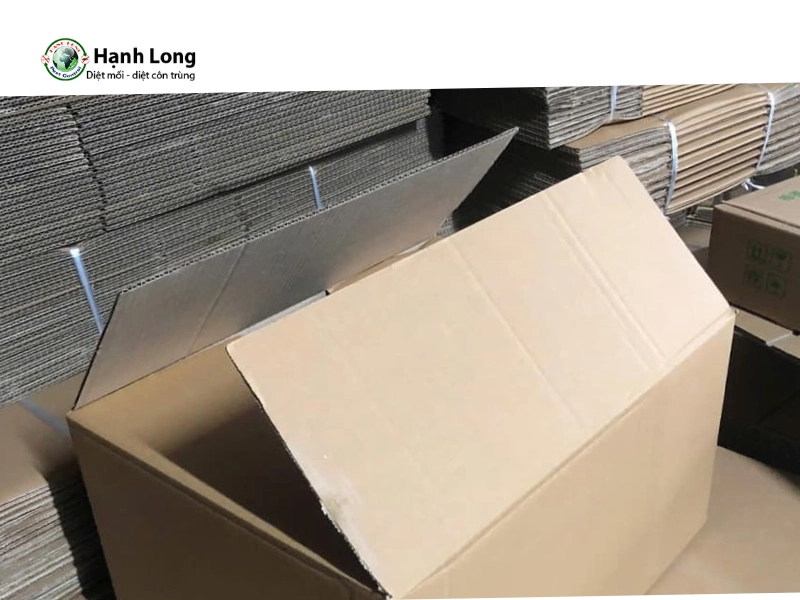 Dùng bìa carton ẩm để nhử