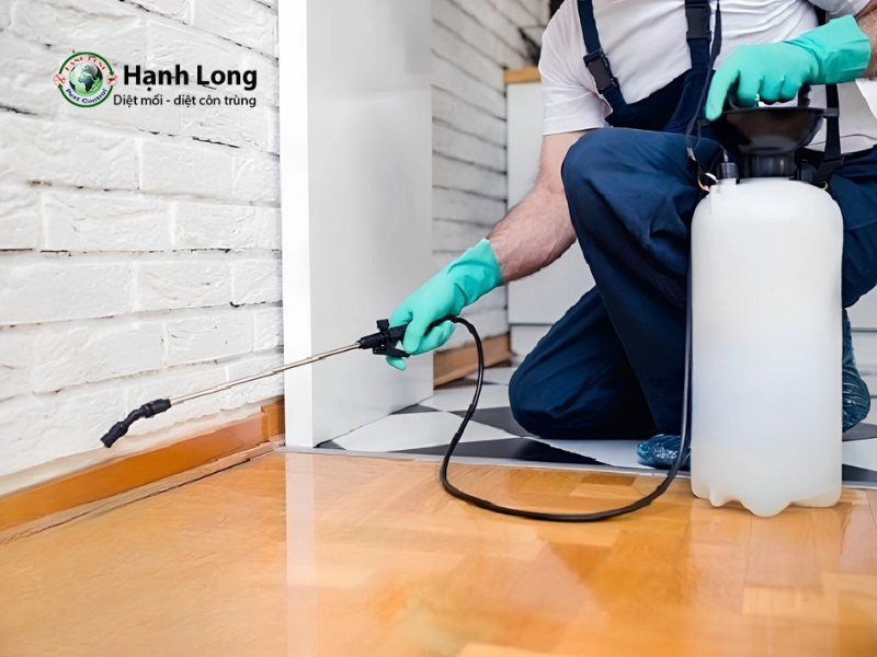 thuốc diệt mối công trình
