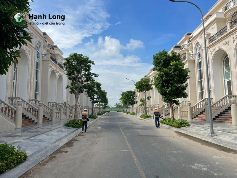diệt muỗi quy tín quận 12 diệt muỗi quy tín quận 12