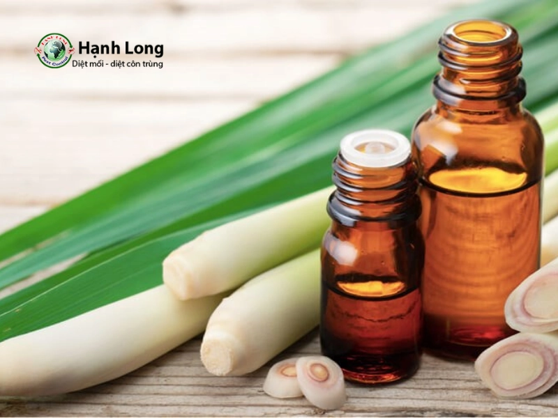 cách đuổi muỗi trong nhà vệ sinh