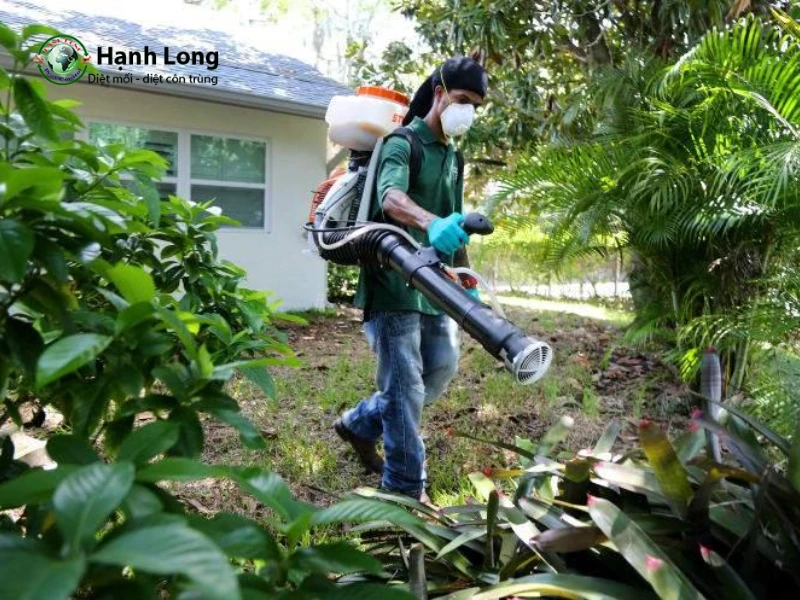 muỗi vằn có phải muỗi anophen không