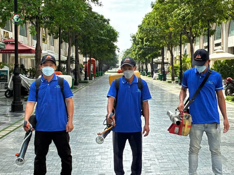 muỗi trong nhà vệ sinh