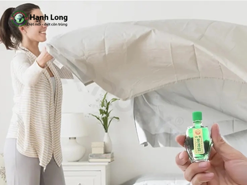 cách đuổi muỗi bằng dầu gió cách đuổi muỗi bằng dầu gió