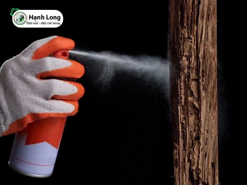 Ưu và nhược điểm của phương pháp trị mọt bằng cồn