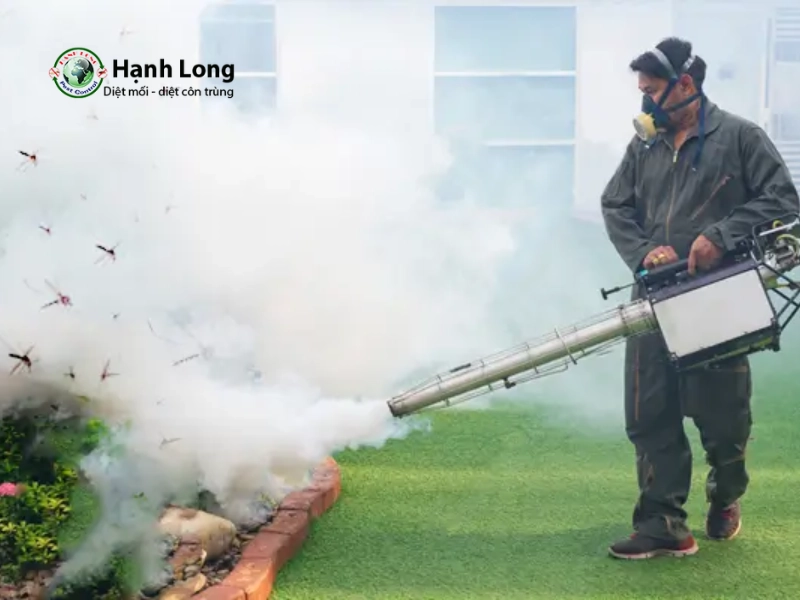Hướng dẫn cách phun thuốc muỗi chuẩn kỹ thuật, hiệu quả 