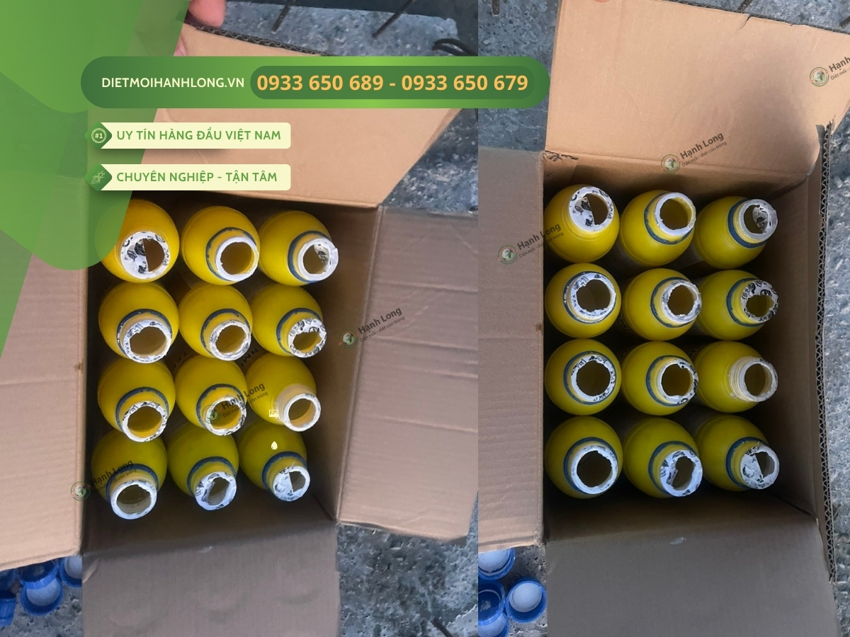 Thuốc chống mối được sử dụng tại Phú Mỹ Vũng Tàu