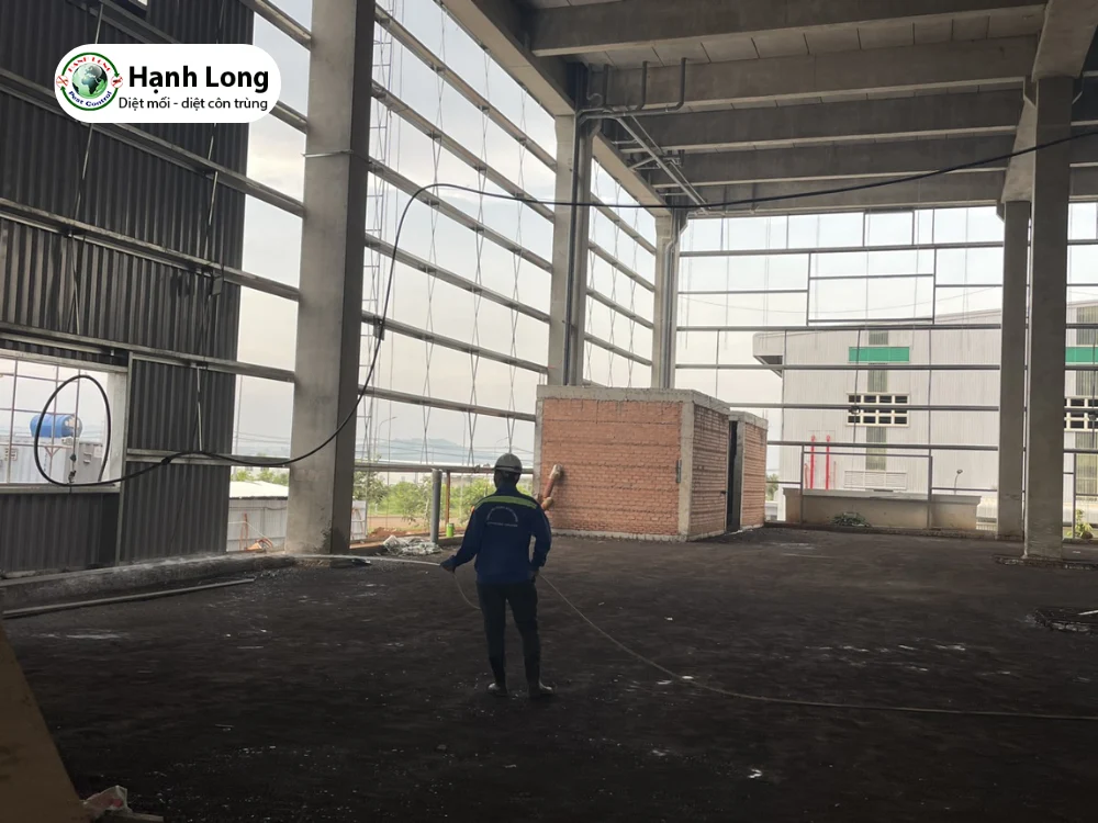 dịch vụ phun xịt côn trùng