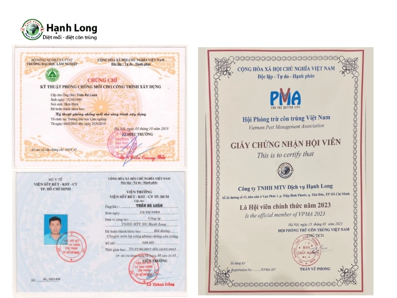 diệt mối quận 7 diệt mối quận 7