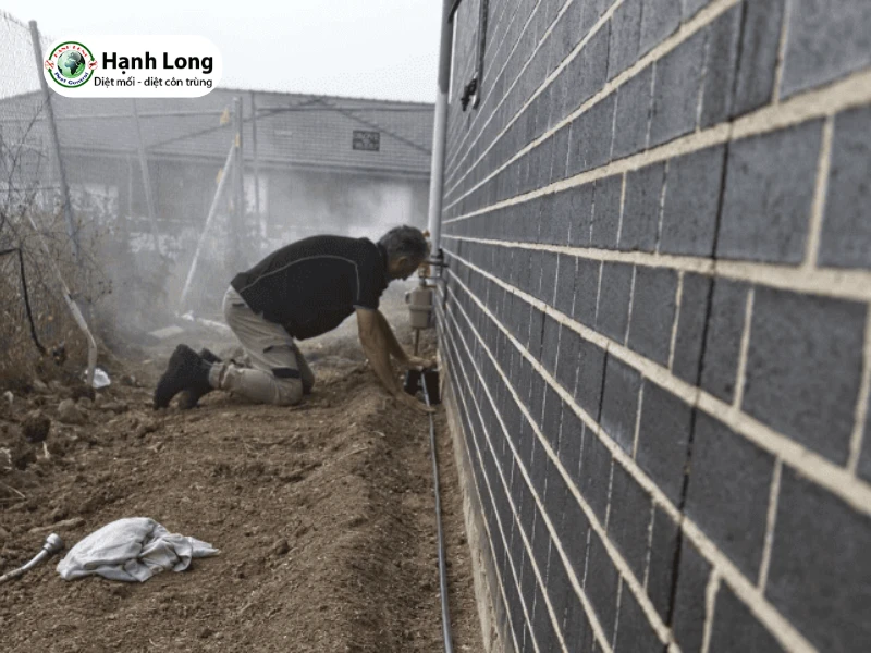 Hệ thống chống mối Termite-pro