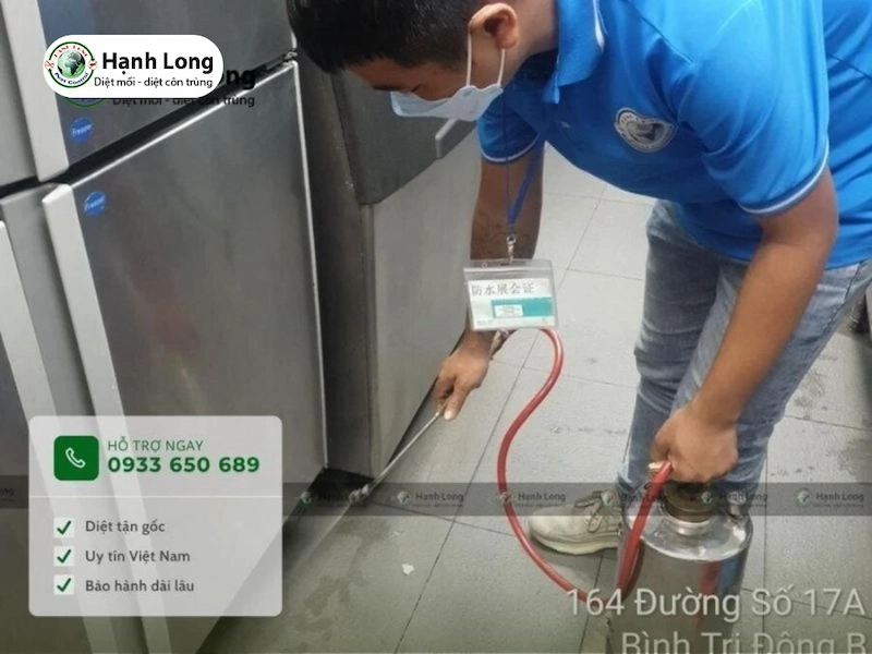 diệt mối quận 7 diệt mối quận 7