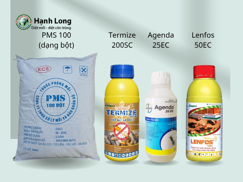 thuốc diệt mối công trình xây dựng