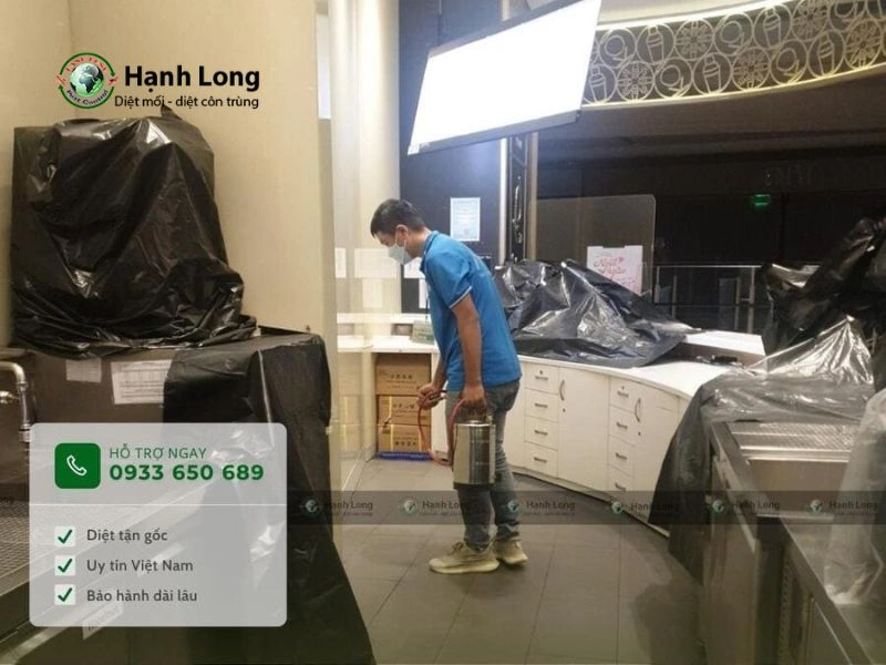 Dịch vụ diệt kiến