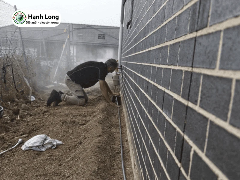 Diệt mối khu công nghiệp