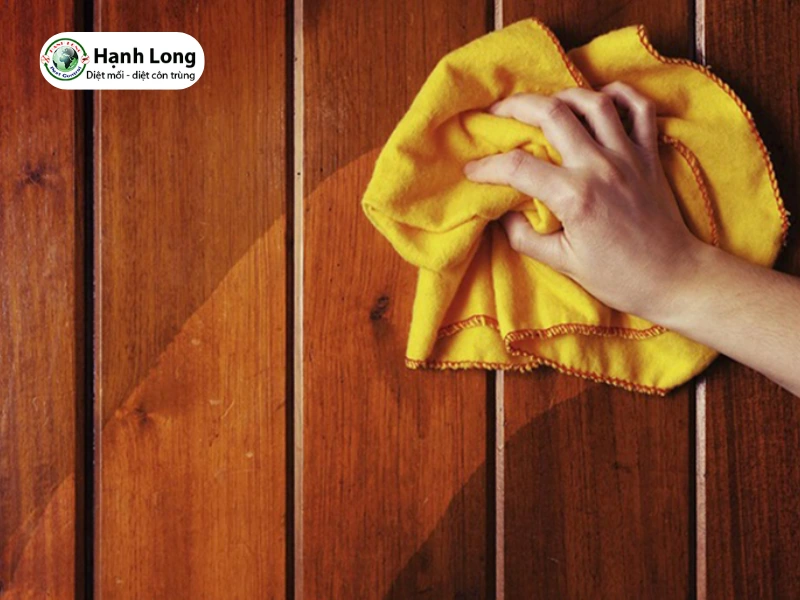 cách trị mối mọt trên gỗ