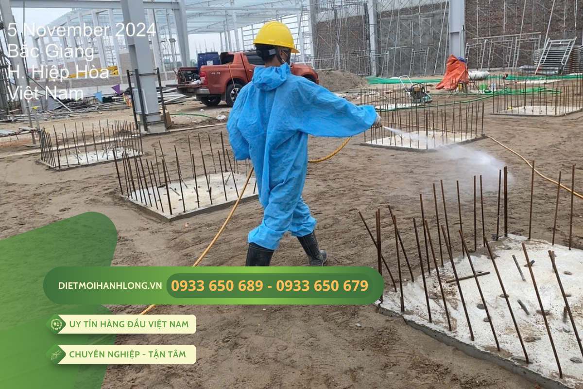 Quá trình thực tế triển khai chống mối