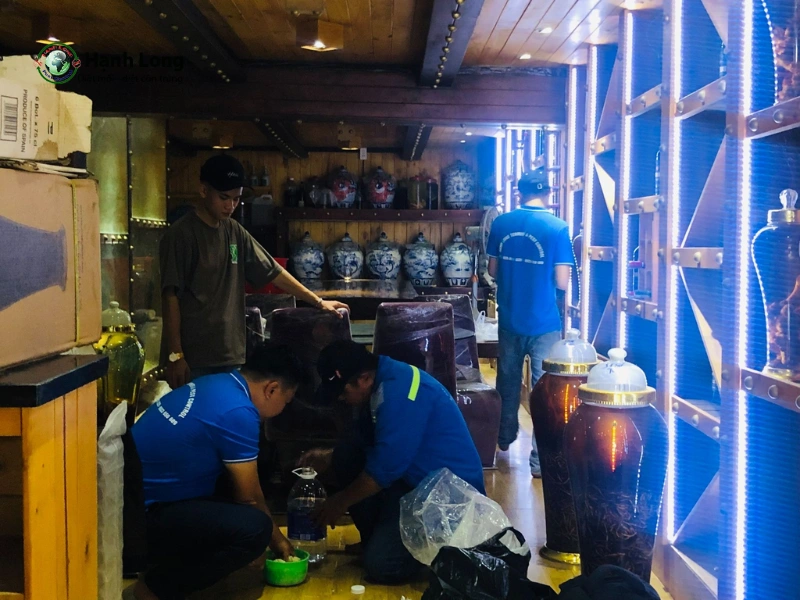 dịch vụ diệt mối quận 10
