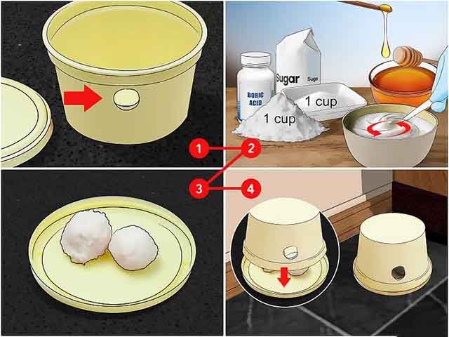 Tự chế thuốc đuổi gián với axit boric