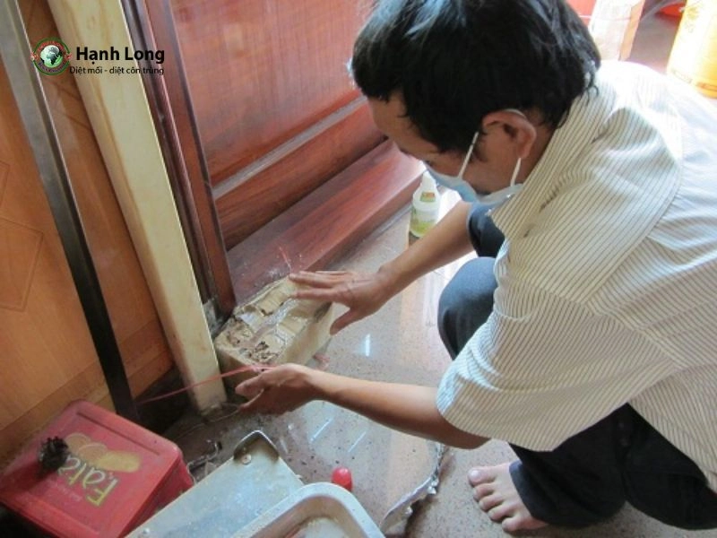 làm hộp nhử mối tại nhà làm hộp nhử mối tại nhà