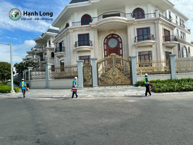 dịch vụ diệt muỗi quận 8 dịch vụ diệt muỗi quận 8