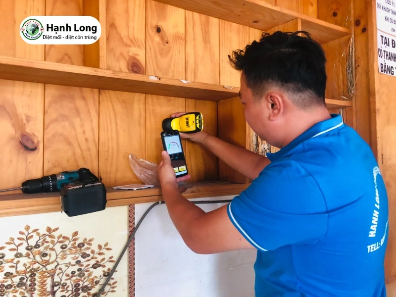 diệt mối tại quận 7 diệt mối tại quận 7