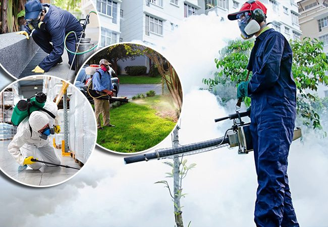 Dịch vụ phun muỗi tại Hà Nội bởi Hạnh Long