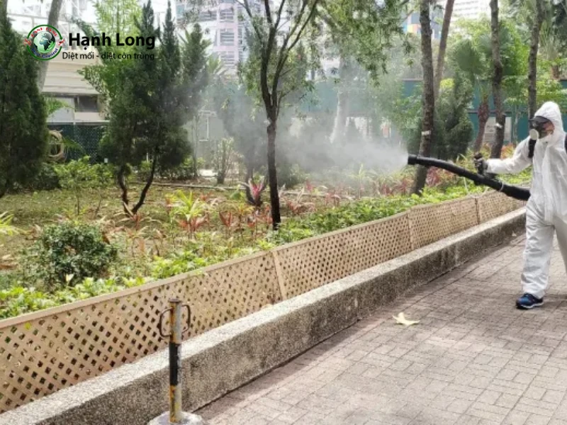 dịch vụ diệt muỗi quận 10 dịch vụ diệt muỗi quận 10