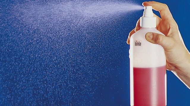 Hướng dẫn cách diệt bọ chét bằng băng phiến NHANH, DỄ