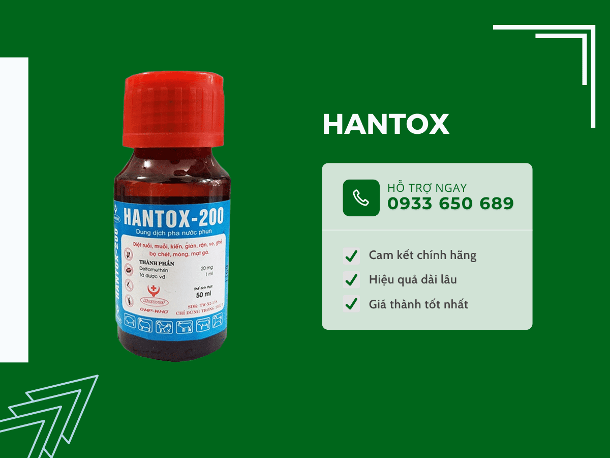 Thuốc diệt kiến Hantox