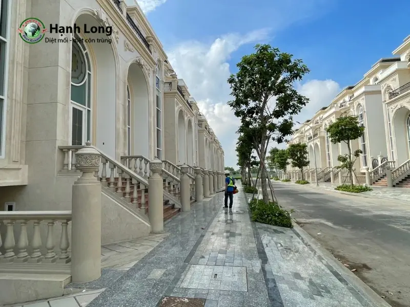 Công ty diệt mối côn trùng Hạnh Long