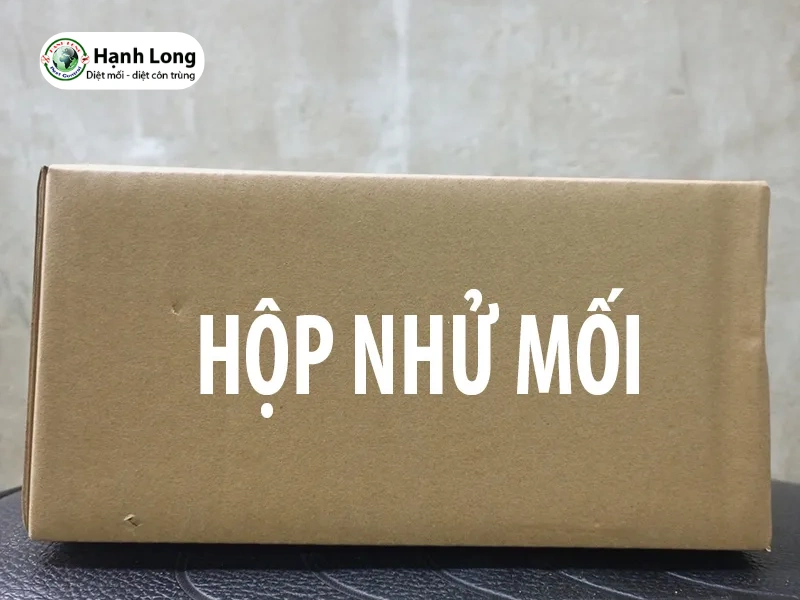 nguyên nhân mối mọt