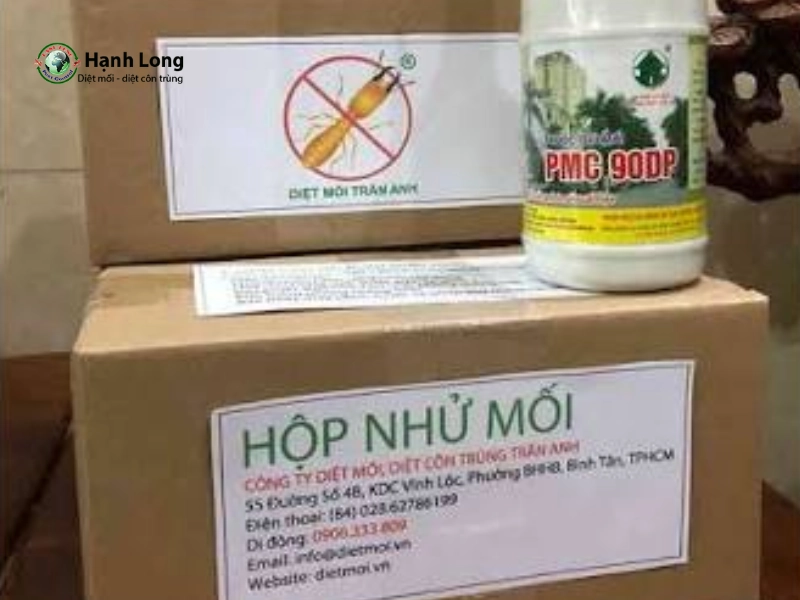 cách sử dụng thuốc diệt mối dạng bột