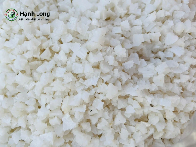 cách trị mọt gỗ tại nhà