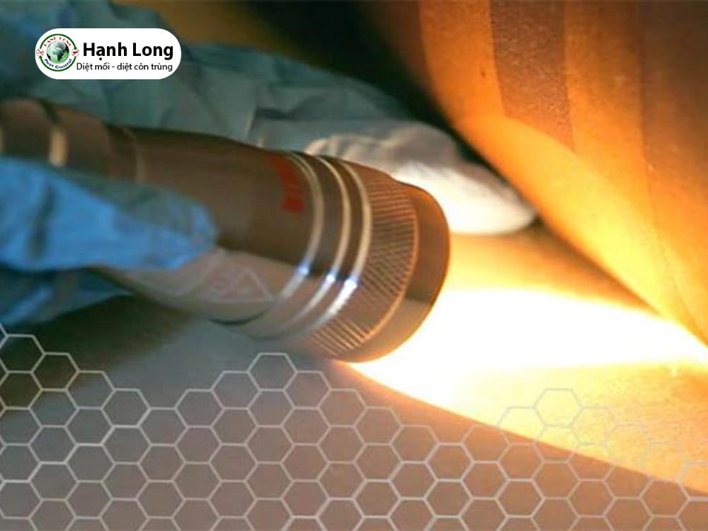 dịch vụ xịt côn trùng