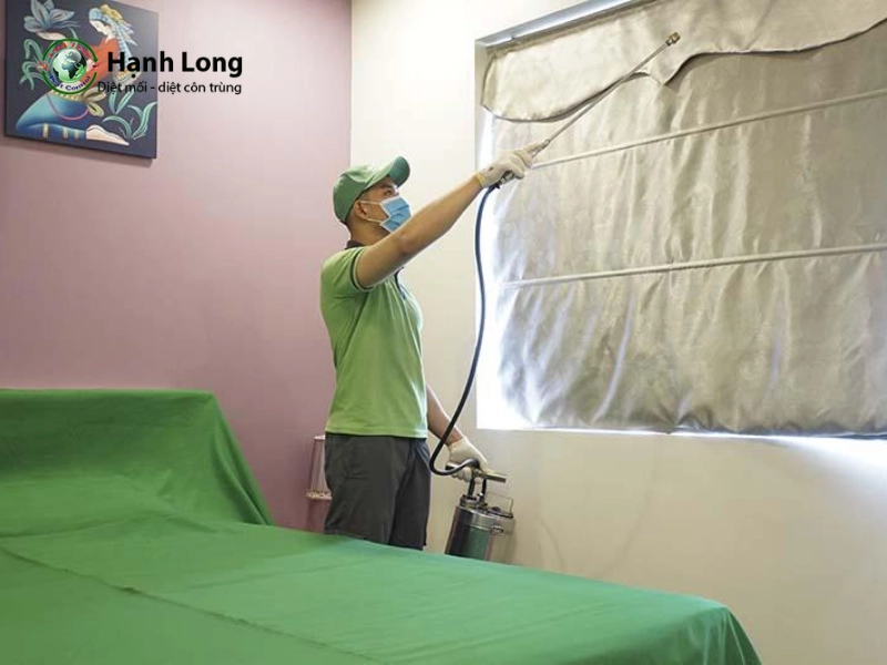 các loại muỗi