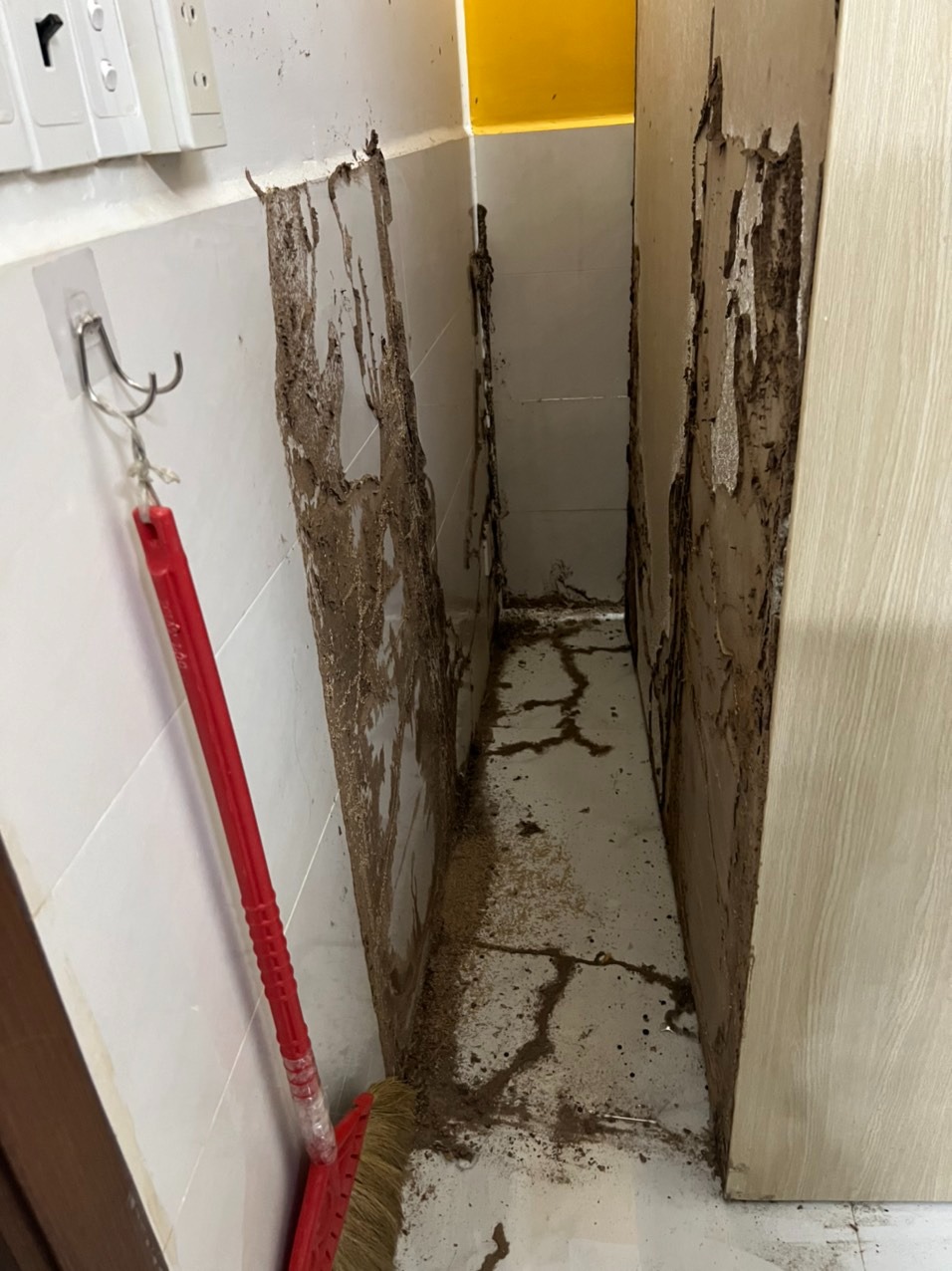 diệt mối thủ đức