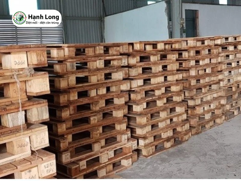 diệt mối nhà xưởng 