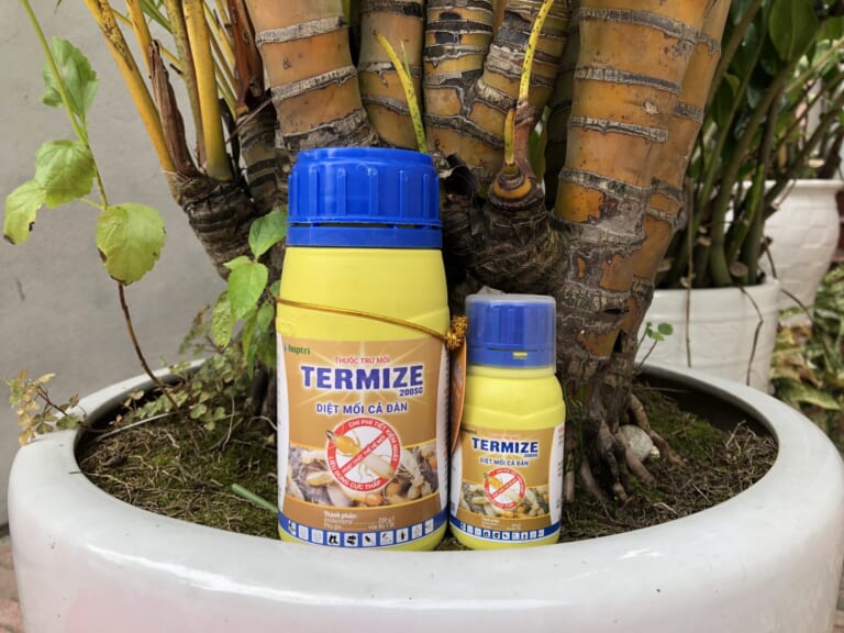 Top 5 thuốc diệt mối cho cây trồng hiệu quả nhất 2024