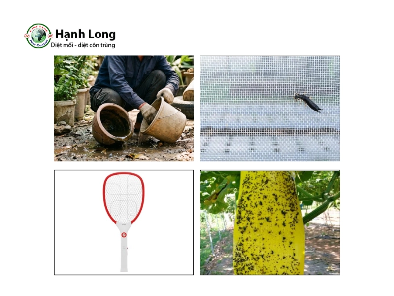 cách diệt muỗi mắt