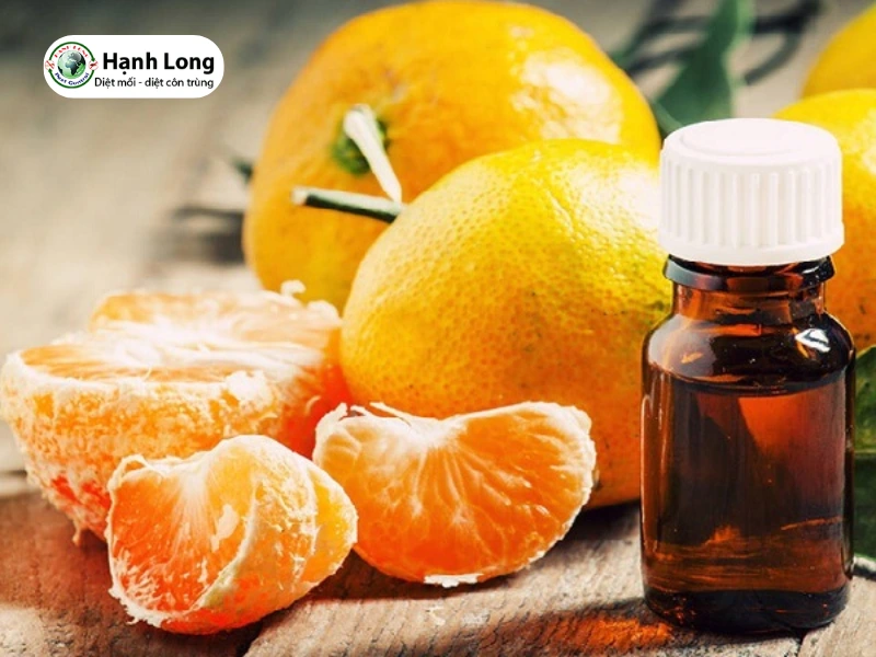 cách trị mối gỗ