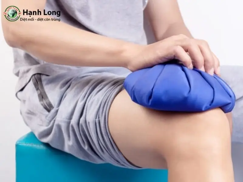 vết muỗi vằn đốt